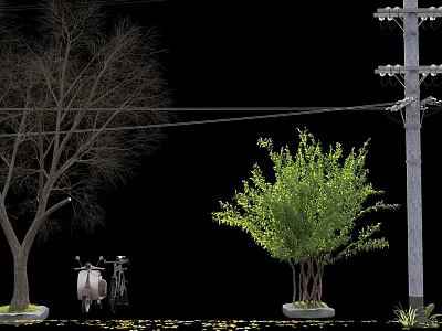 Bare Tree And Lush Green Arbor With Scooter Bicycle Power Pole And Fallen Leaves 3d model