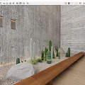 Cactus Bonsai Potted Plants With Gravel Stones On Wooden Shelf And Gray Wall