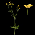 Vibrant Yellow Flowers Arranged in Elegant Vase with Green Stems and Leaves