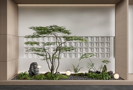 Courtyard sketch interior landscape plant pile landscape tree fern plant stone pebble 3d model