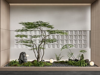 Courtyard sketch interior landscape plant pile landscape tree fern plant stone pebble 3d model