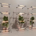 Floral Installation With Three Metal Frame Structures Green Plants And Lighting Tubes