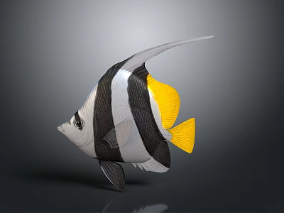 Colorful Black White Striped Tropical Fish With Yellow Tail Fins As Aquatic Animal 3d model