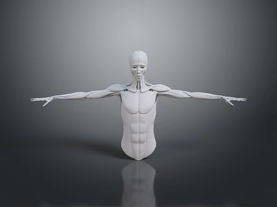 3D Rendered White Human Figure With Outstretched Arms And Gray Background 3d model