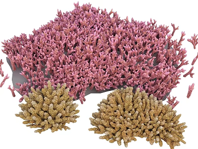 Vibrant Pink And Golden Coral Reefs In Aquatic Ecosystem With Diverse Structures 3d model