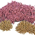 Vibrant Pink And Golden Coral Reefs In Aquatic Ecosystem With Diverse Structures