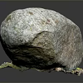 Weathered Rock Surface Covered With Green Moss And Lichen Details