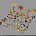 Various Colorful Mushrooms With Different Shapes And Sizes Arranged On Black Background