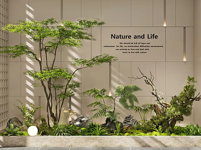 Indoor Landscape With Nature and Life Theme Tall Tree Ferns Rocks and Green Plants 3d model