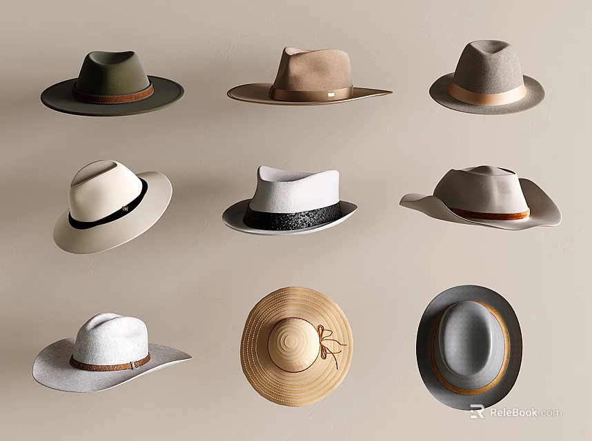 Fashionable Hats In Various Styles And Different Colors On Light Background 3d model 