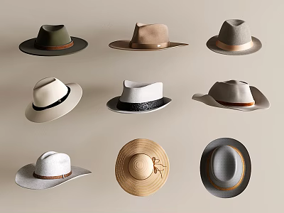 Fashionable Hats In Various Styles And Different Colors On Light Background 3d model