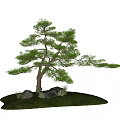 Elegant Pine Arbor With Curved BranerenvironmentGrass And Rocks 3d model