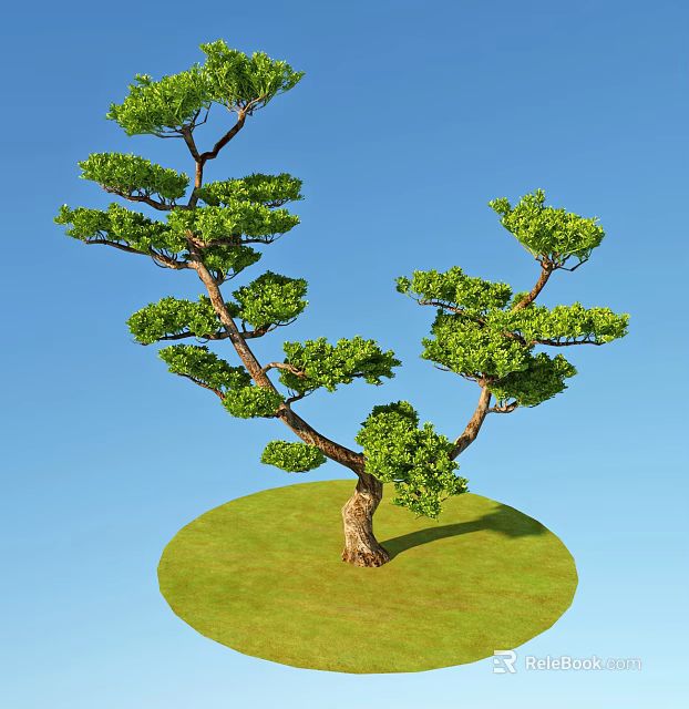 Tall Arbor Featuring Lush Green Leaves And Curved Trunk On Green Grass Against Blue Sky 3d model 