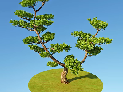 Tall Arbor Featuring Lush Green Leaves And Curved Trunk On Green Grass Against Blue Sky 3d model