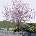 Garden Landscape Featuring Pink Flowering Tree Stone Path Grass And Orange Fruits