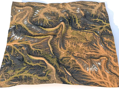 Intricate Terrain Texture With Winding Lines Brown Green River Like Branches 3d model
