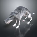 Gray Wolf Game And Movie Character With Long Snout Yellow Eyes Standing Pose 3D Rendered