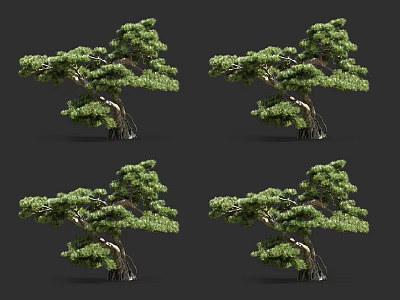 Lush Green Arbor With Curved Trunk And Dense Foliage In Multiple Views 3d model