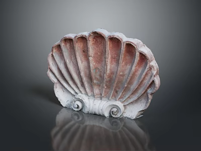 Decorative Scallop Shell Ornament With Red White Color And Spiral Base On Reflective Surface 3d model