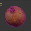 Fresh Ripe Onion With Reddish Orange Textured Skin And Stem On Dark Background
