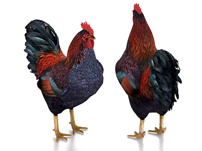 Two Colorful Roosters With Red Green Feathers And Golden Legs Standing Together 3d model