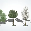modern tree landscape tree arbor 3d model