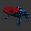 Vibrant Red Head Blue Body Frog With Intricate Black Patterns 3d model