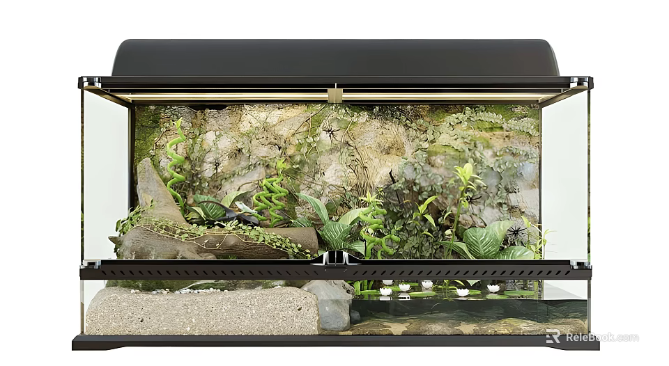 Enclosed Terrarium With Lush Plants Rocks Driftwood And Water Elements 3d model 