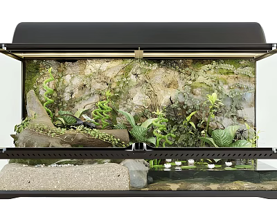 Enclosed Terrarium With Lush Plants Rocks Driftwood And Water Elements 3d model