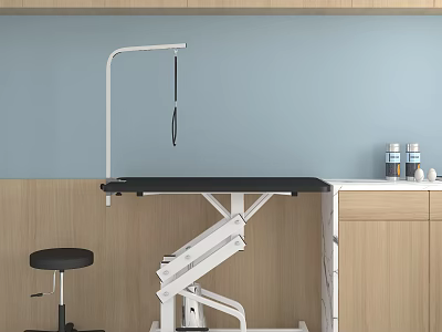 Adjustable Medical Treatment Table With Black Top Stool Cabinet Supplies And Light Blue Wooden Wall 3d model