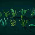 Colorful Aquatic Plants Featuring Various Green Blue Orange Red Seaweed And Coral Like Structures