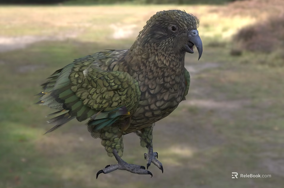 Colorful Bird With Green And Brown Patterned Feathers Standing In Natural Grassy Area 3d model 