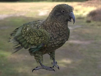 Colorful Bird With Green And Brown Patterned Feathers Standing In Natural Grassy Area 3d model