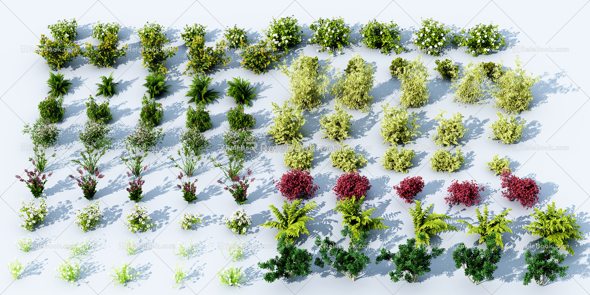 Modern shrubs and flowers 3d model