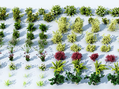 Various Types of Garden Shrubs with Diverse Foliage and Flower Colors 3d model