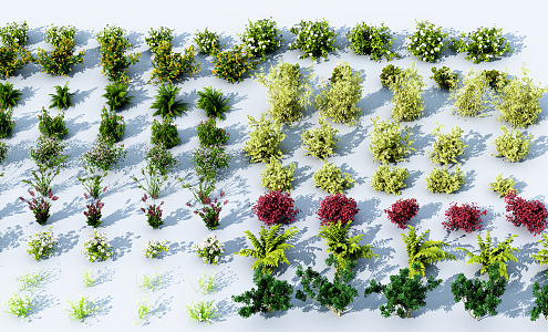 Modern shrubs and flowers 3d model