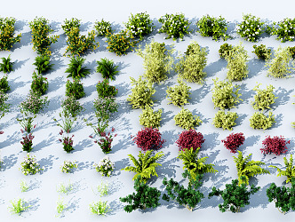 Modern shrubs and flowers 3d model