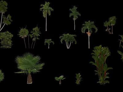 Different Types Of Arbor Trees With Diverse Leaf Shapes And Heights 3d model