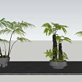 Decorative Bonsai Potted Plants With Green Foliage In Ceramic Pots On Gray Platform