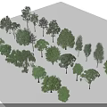 Collection of Various Green Arbor Trees with Natural Shades and Different Sizes