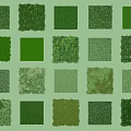 Collage of Various Green Grasses and White Flowers in Natural Scenery