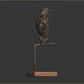 Common Starling With Spotted Feathers Perched On Wooden Stand With Square Base