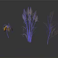 Yellow Leaf Plant Tall Grass And Bare Branches As Natural Decorative Elements On White Background