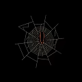 Spider Resting on Intricate Spider Web with Visible Thread Patterns and Detailed Design 3d model