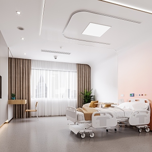 Single Ward ICU Single Ward Intensive Ward VIP Ward 3d model