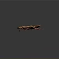 Detailed Cockroach With Orange Black Patterns And Red Legs On Dark Background