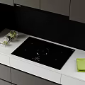 Modern Induction Cooker Stove Cabinet Embedded Induction Cooker Glass Container 3d model