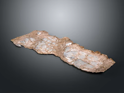 Natural Elongated Brownish Decorative Stone Featuring White Textured Crystalline Surface on Dark Background 3d model