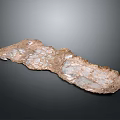 Natural Elongated Brownish Decorative Stone Featuring White Textured Crystalline Surface on Dark Background