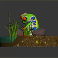 Colorful Red Eyed Frog in Natural Pond with Aquatic Plants and Stones
